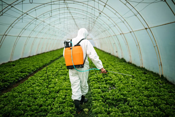 Best Pest Control Near Me  in Oakes, ND
