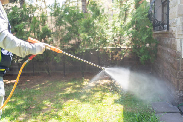 Best Termite Control Services  in Oakes, ND