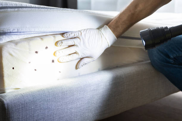 Best Pest Inspection Near Me  in Oakes, ND