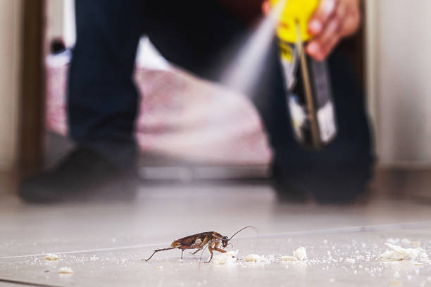 Best Pest Control Cost  in Oakes, ND